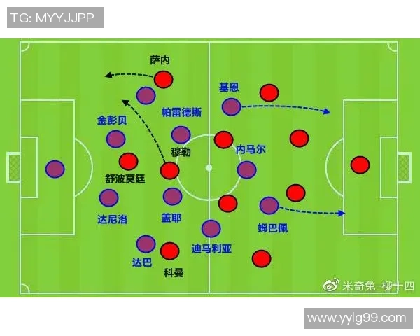 深圳排球队在杯赛中的战术表现分析与未来发展展望