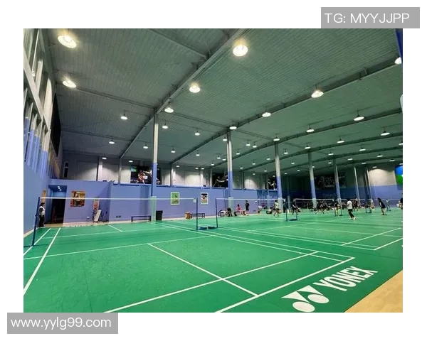 深入分析北京羽毛球队快攻战术的独特魅力与实战应用 深入分析北京羽毛球队快攻战术的独特魅力与实战应用